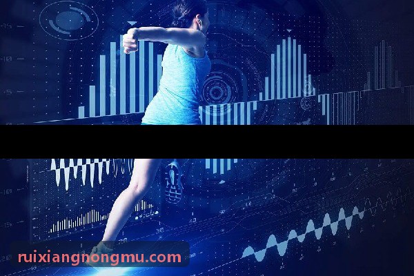 MKAPP标杆客户学员日常体能集训